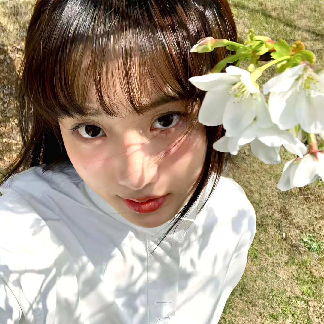 潘朵拉的盒子